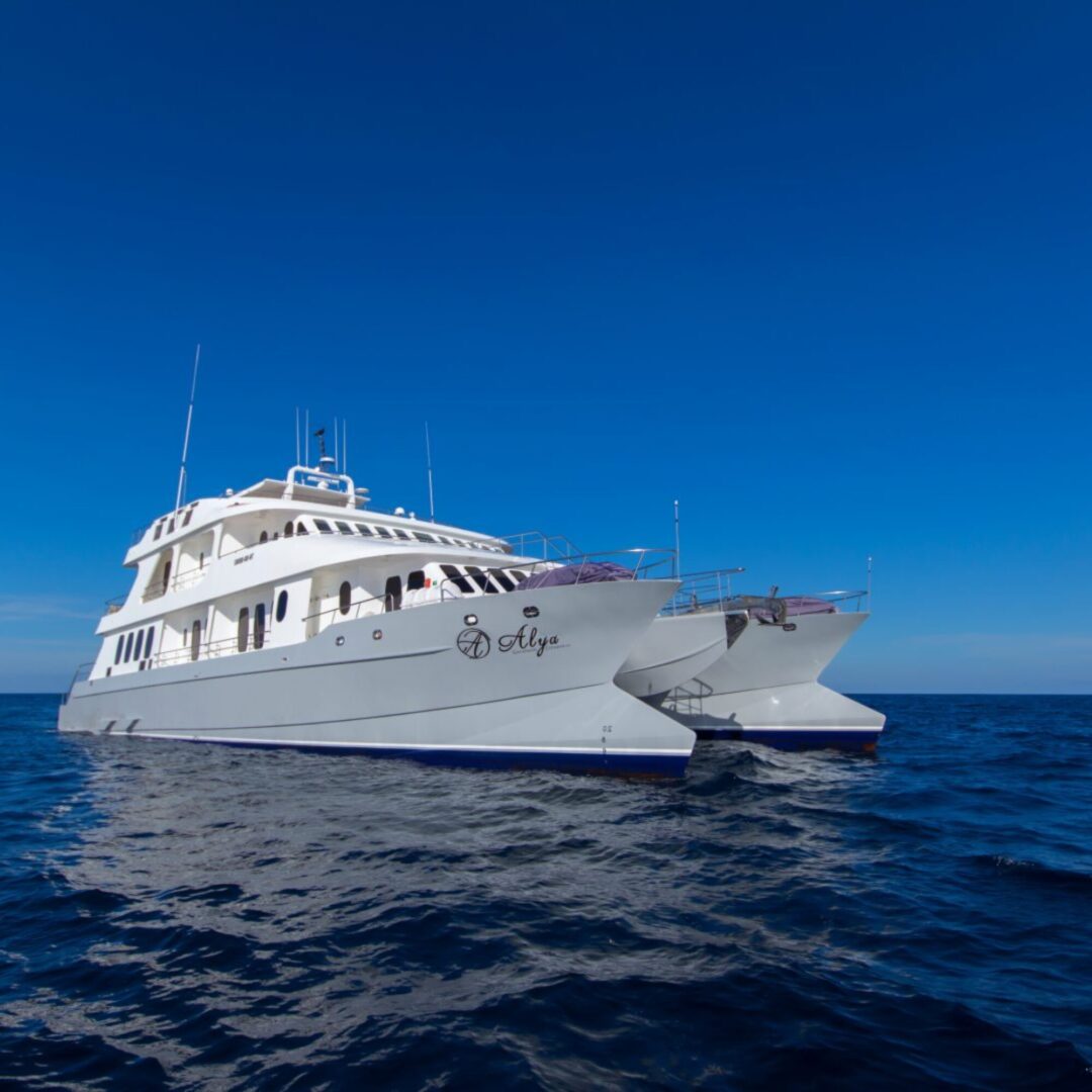 Alya Galapagos Vessel