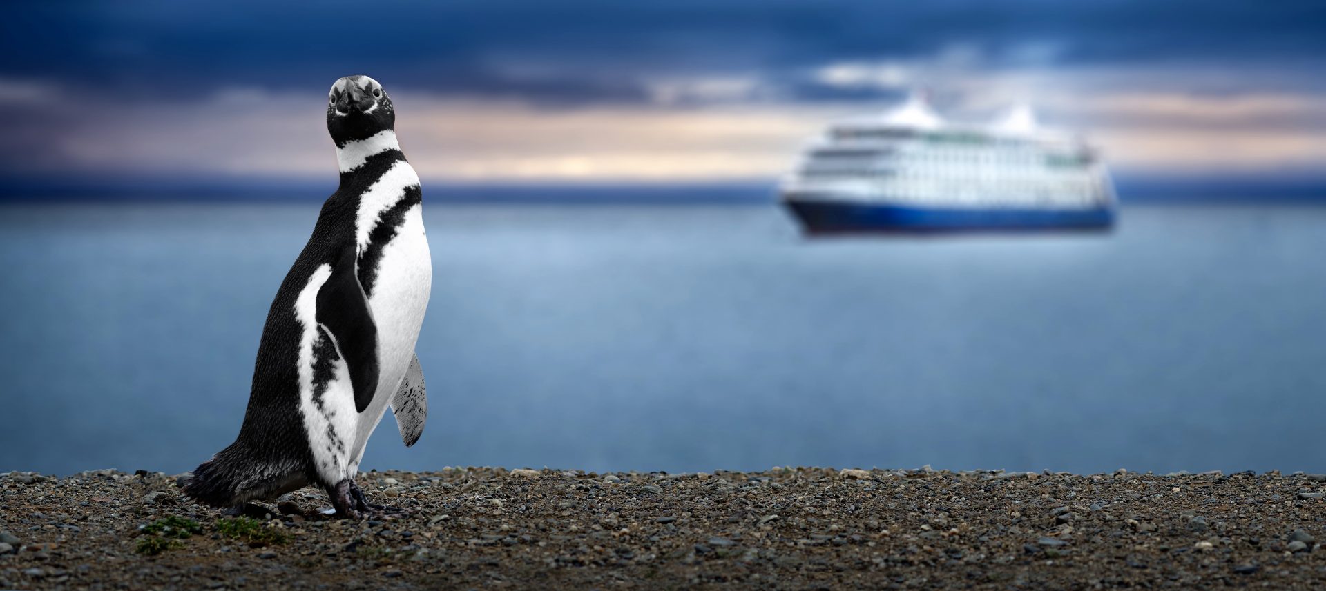 Antarctica cruises: frequently asked questions