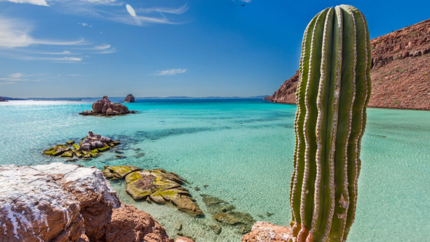  Isla Espiritu Santo Baja Mexico