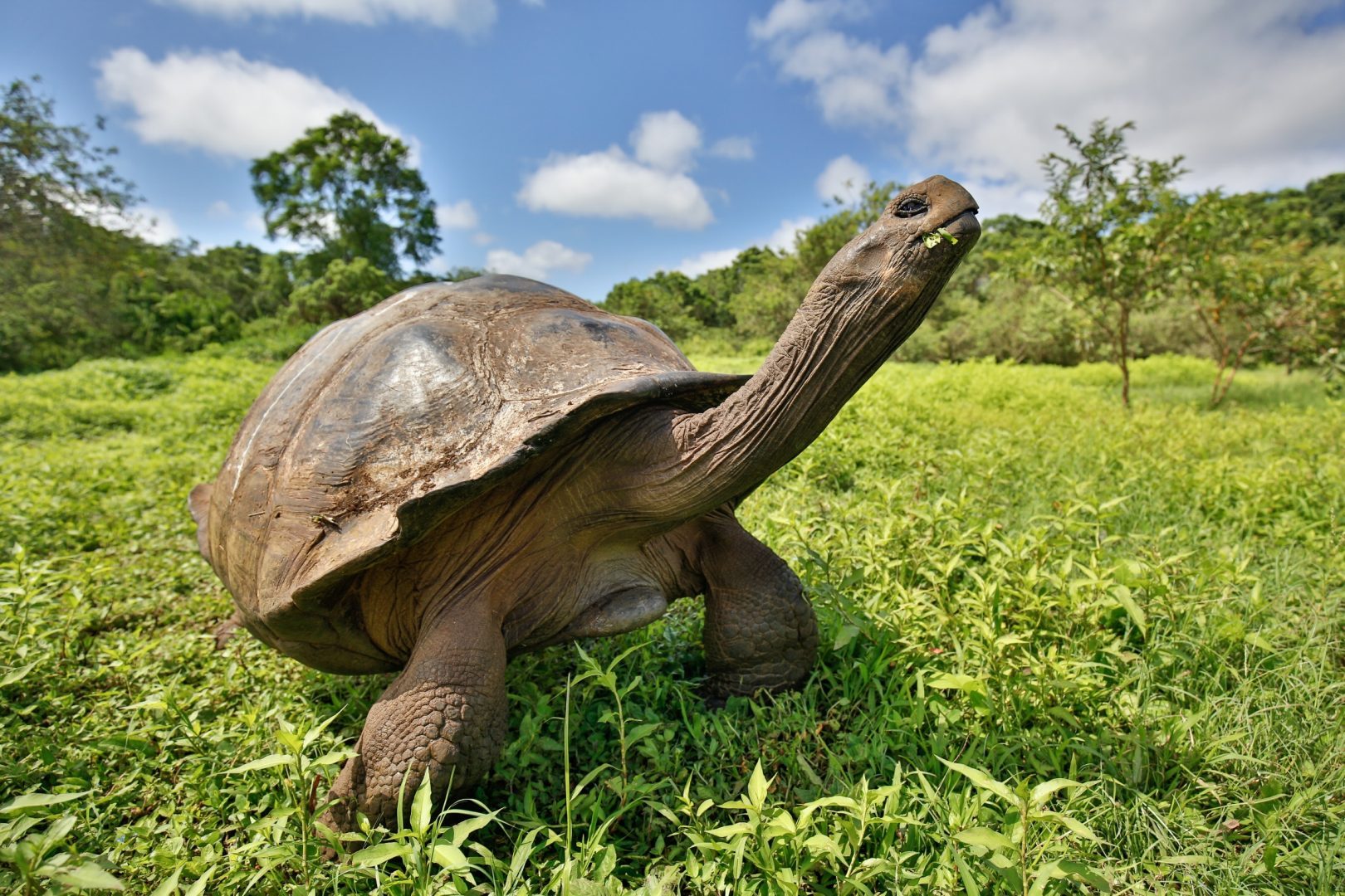 Machu Picchu & Galapagos Islands Tour