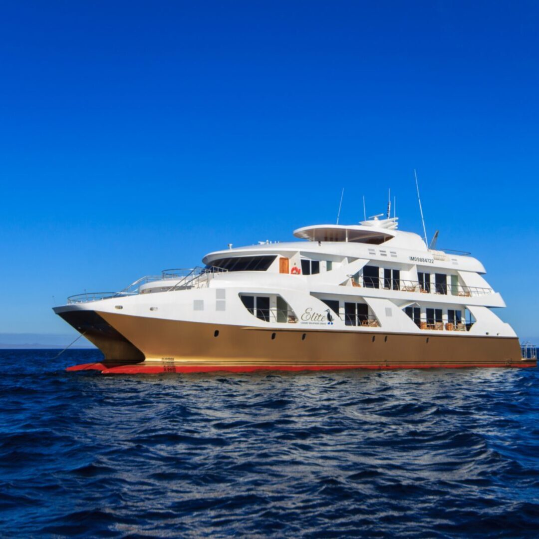 Elite Galapagos Vessel