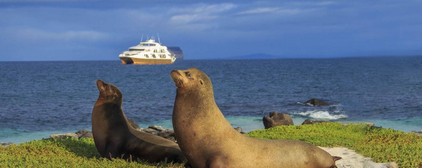 Elite vessel in the Galapagos from the distance with sea lions
