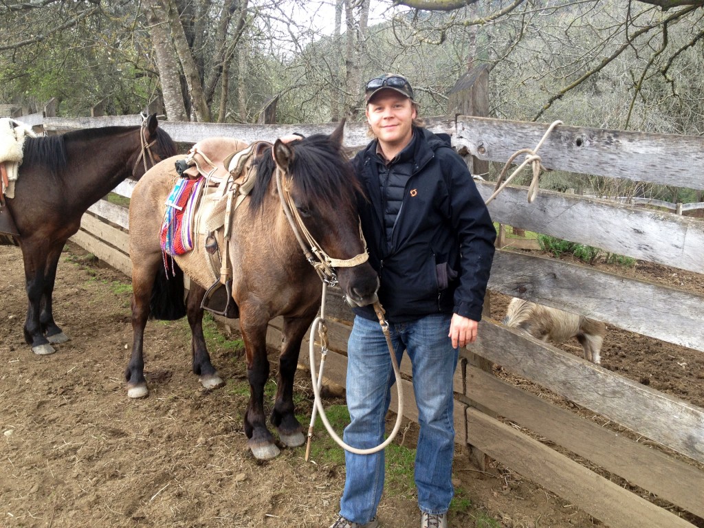Horses on Bandurrias