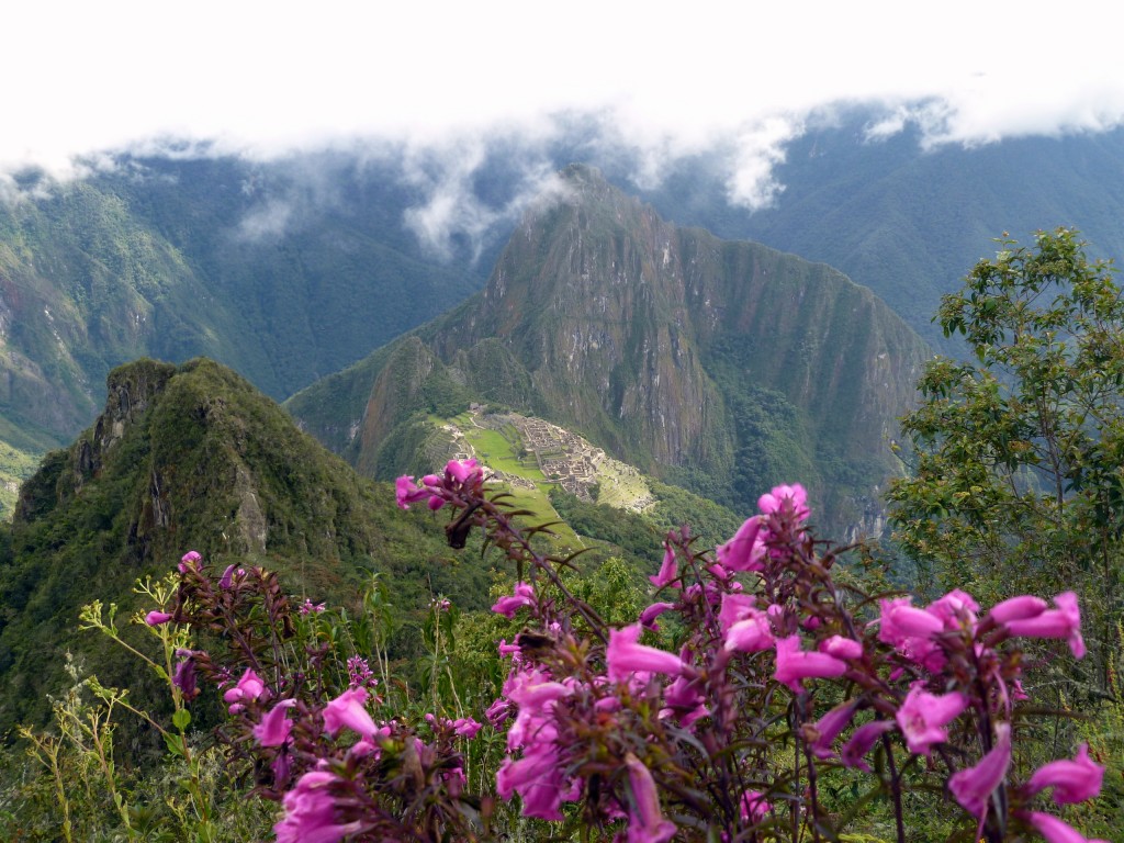 machu picchu - peru travel - vaya adventures
