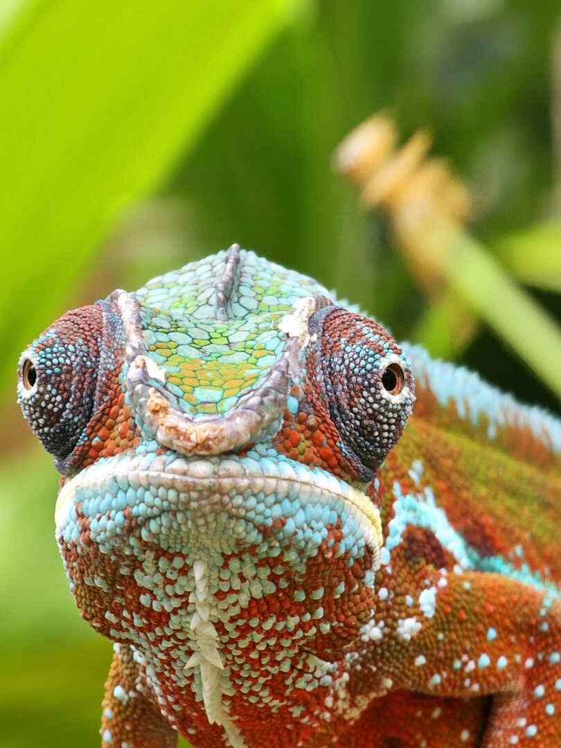 Regina Huerter Destination: Madagascar