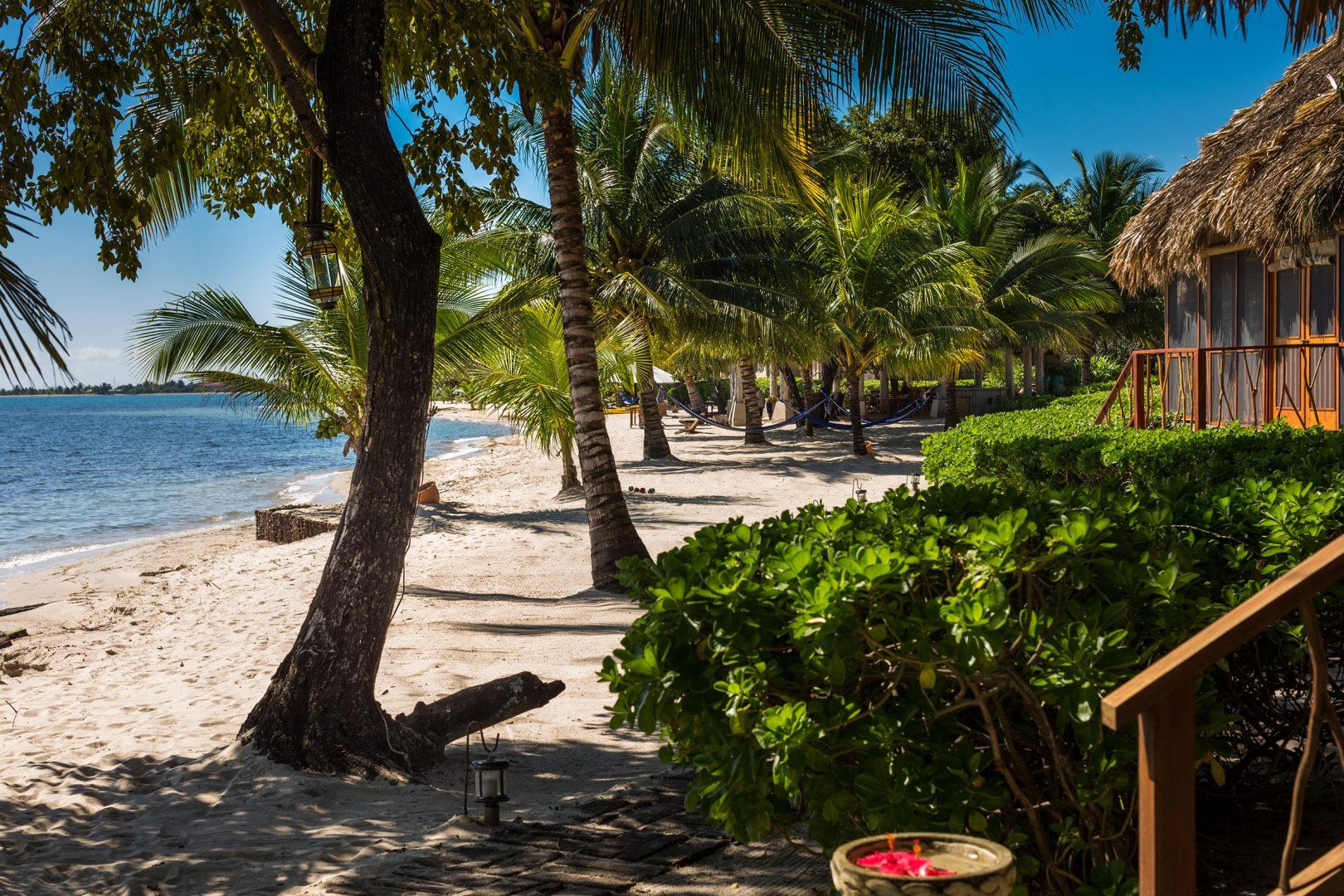 Rainforest, Tikal & Southern Coast