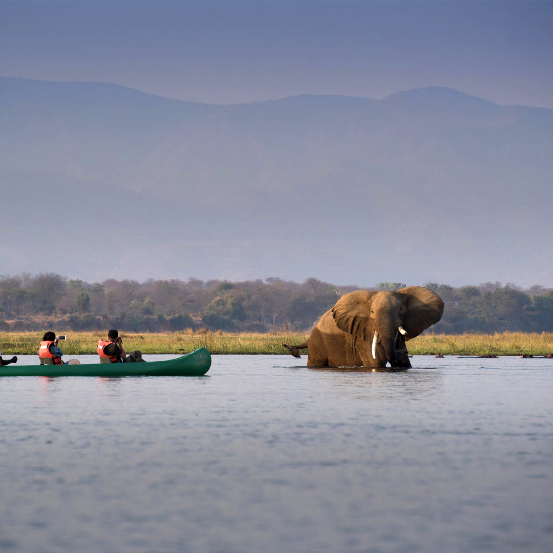custom safari zimbabwe