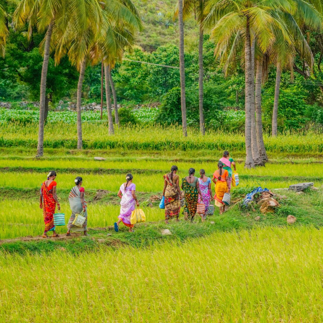 custom tours of india