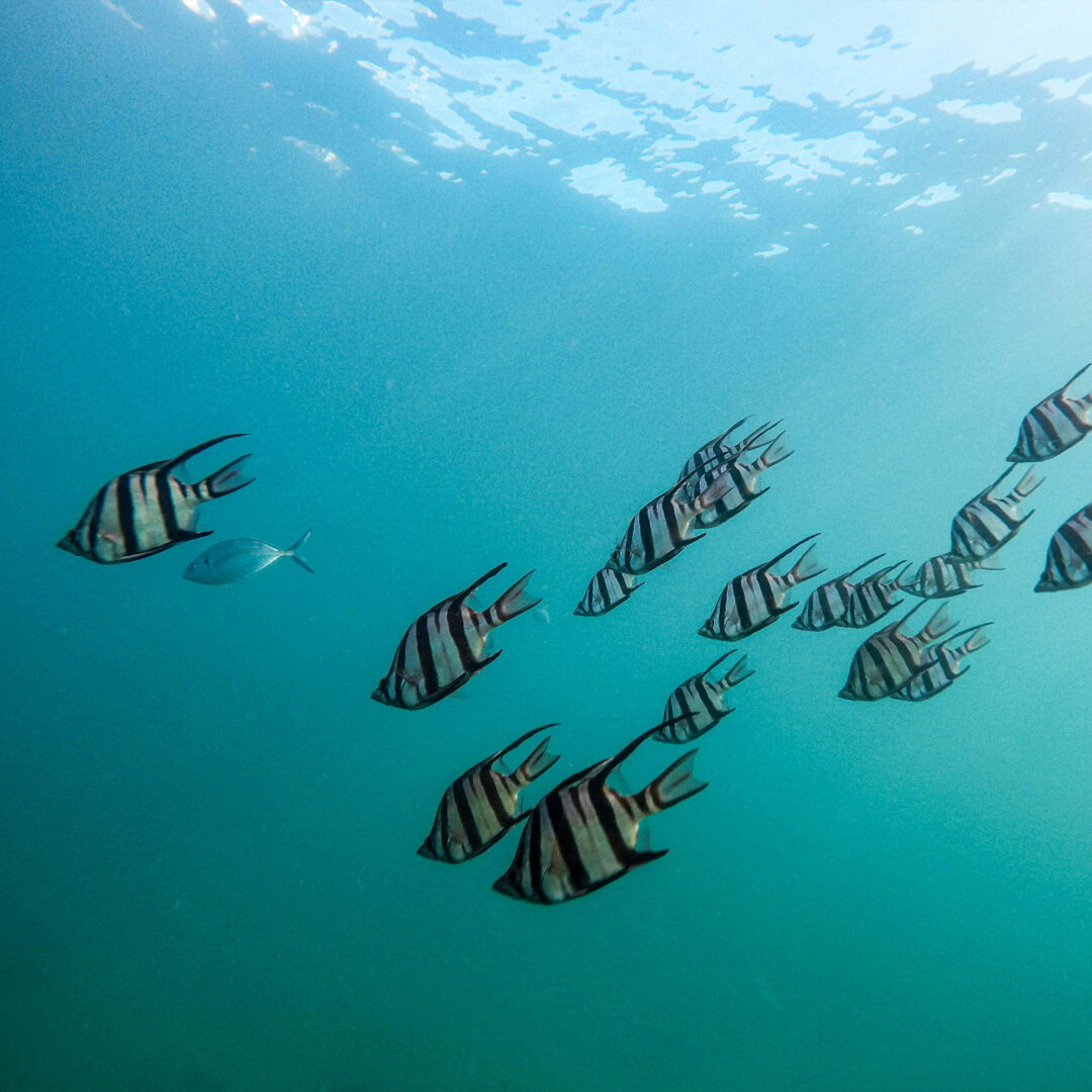 sustainable and ethical travel agency