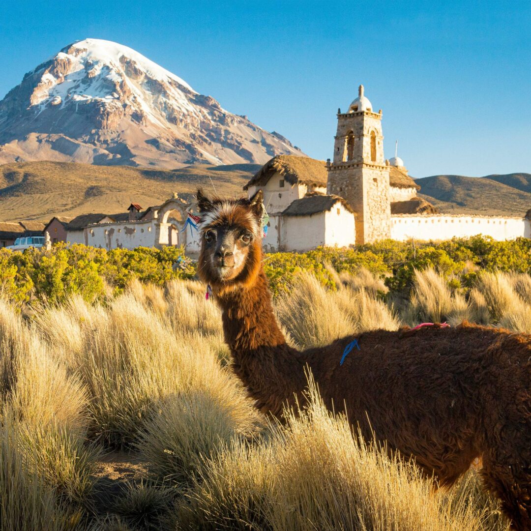 luxury custom south america tours