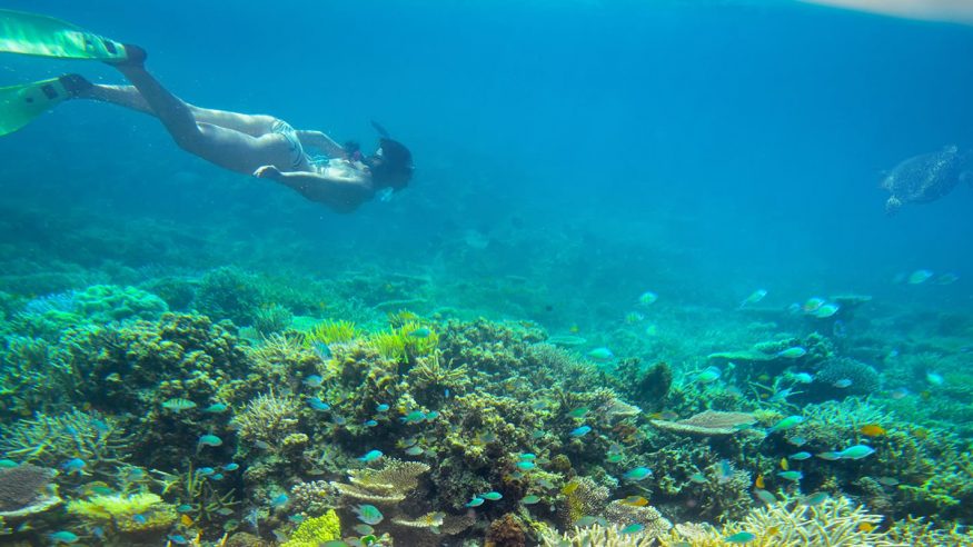 Victoria House - Snorkeling