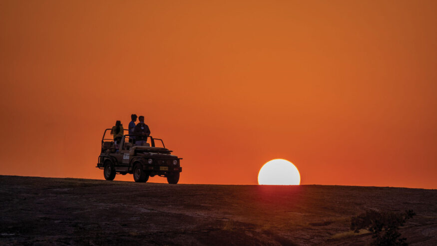 Bera sunset safari 