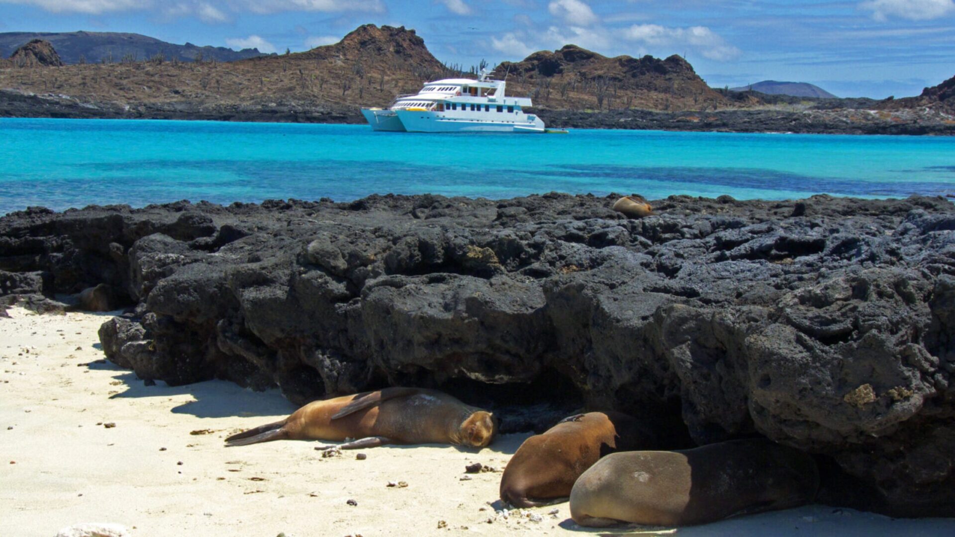 Top Galapagos Cruise Vessels