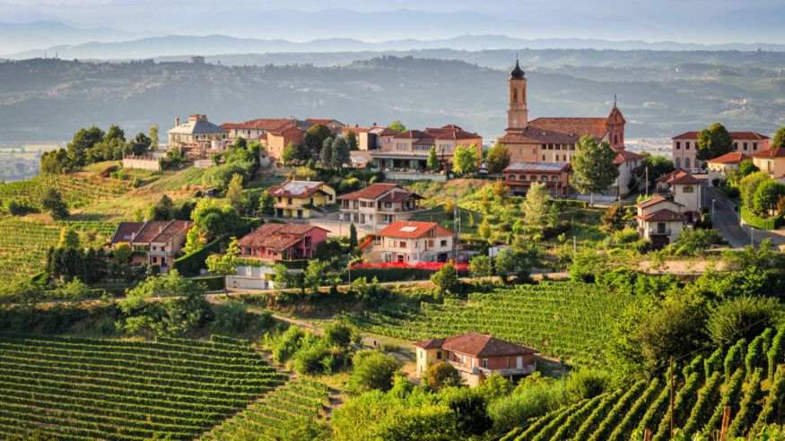 Treiso (The Langhe)